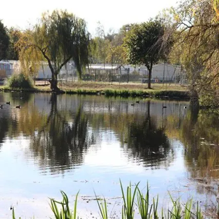 Mobil-home Pour 4 Personnes Avec Terrasse - Api-1-52-341 مكان تخييم Brétignolles-sur-Mer